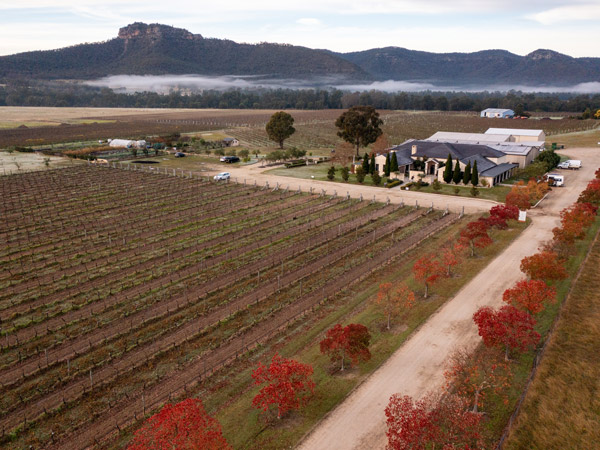 an aerial view of Margan Wines and Restaurant, Broke in the Hunter Valley