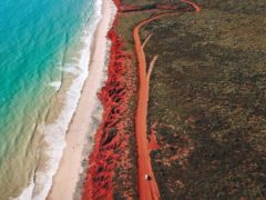 explore adventure van life combi travel country road trip