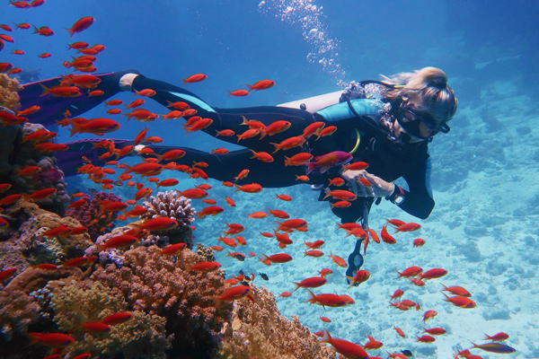 Great Barrier Reef QLD