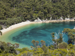 10 most memorable things to do at Wilsons Promontory