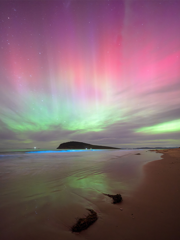 The Southern Lights (Aurora Australis) shines from Goats Bluff, Tasmania