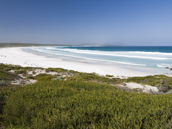 the grassy white-sand beach at Point Ann, WA