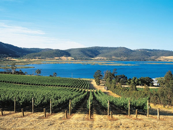 Derwent Estate