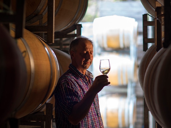 Freycinet Vineyard - Claudio Radenti Tourism Tasmania and Rob Burnett