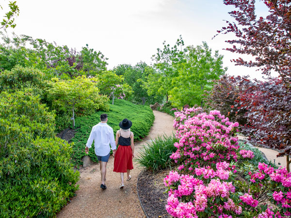 a couple walking along the colourful blooms in Mayfield Garden