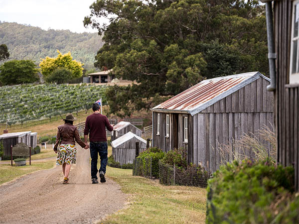 Hartzview Vineyard