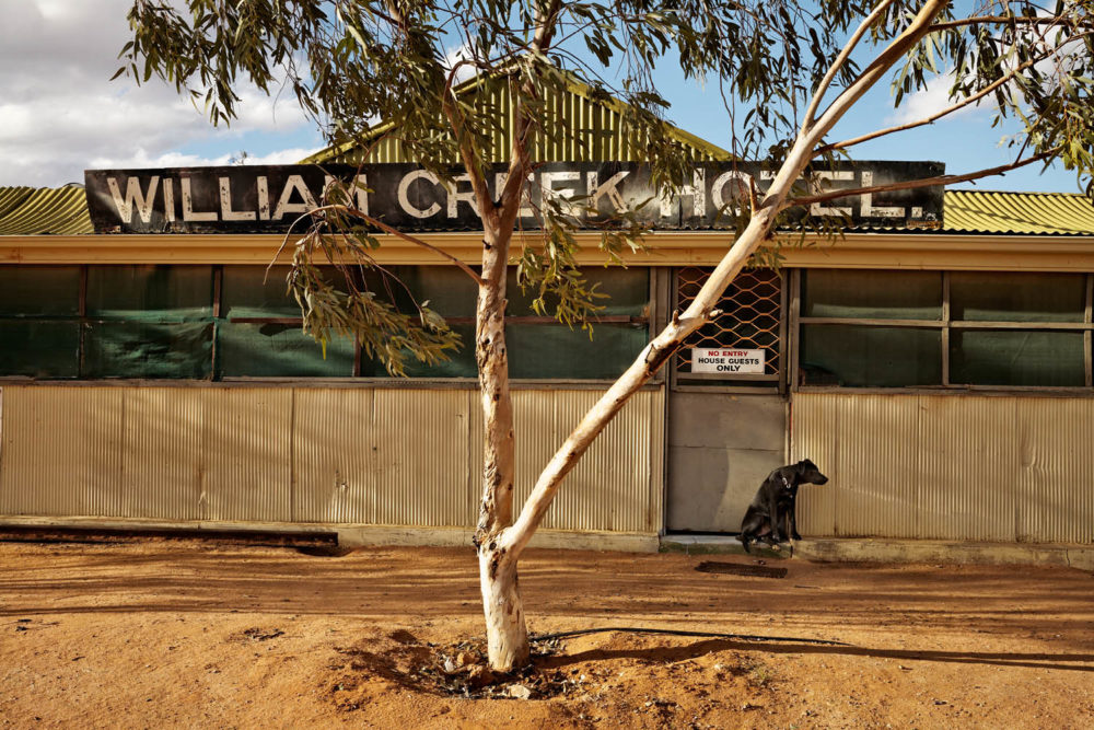 William Creek SA