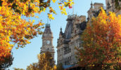 Bendigo Autumn
