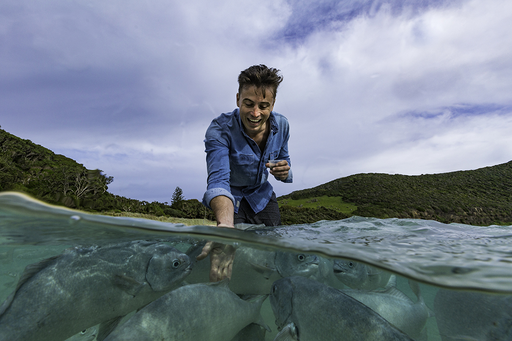 Ned's beach feed fishing Lord Howe