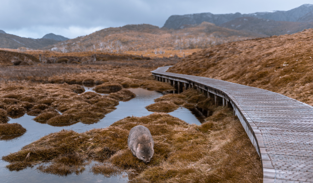 The best hikes and walks in Australia