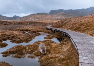 The best hikes and walks in Australia