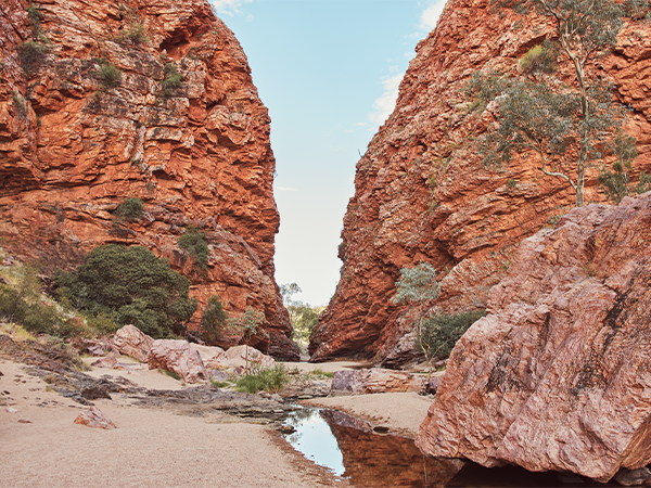 Larapinta Trail