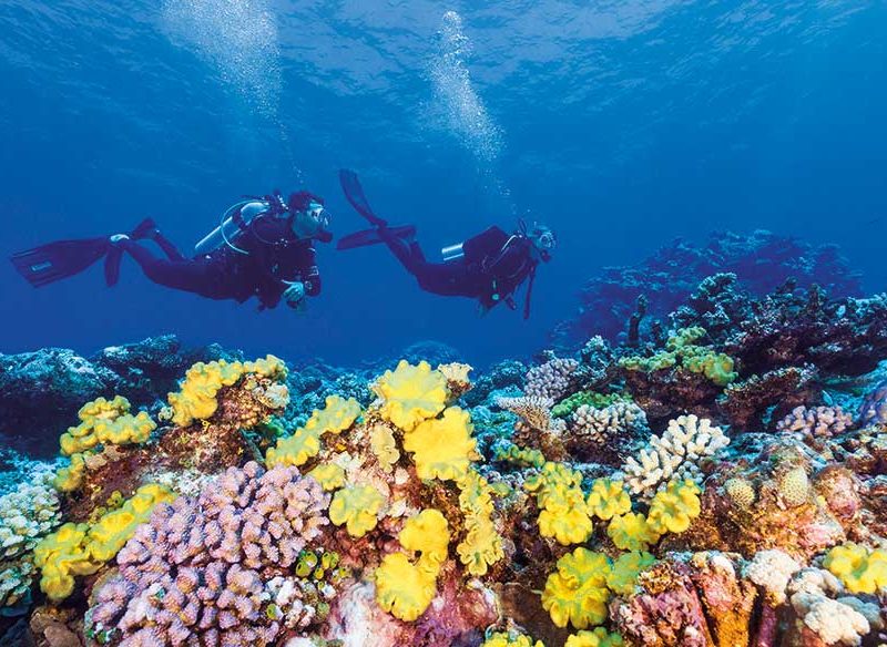 Great Barrier Reef Diving