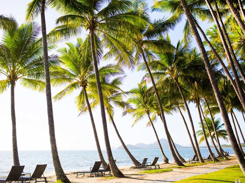 Amazing Palm Cove experiences to share with your other-half