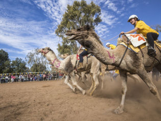 10 of Australia's weirdest festivals and races