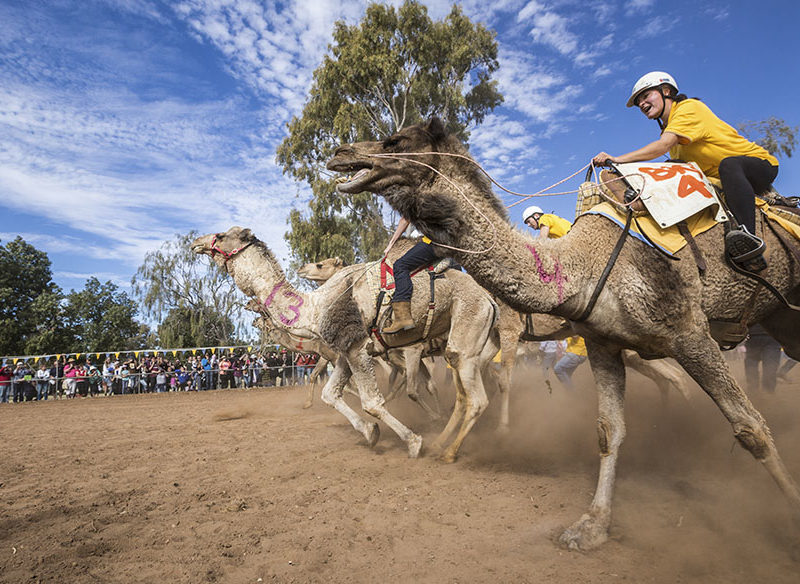 10 of Australia's weirdest festivals and races