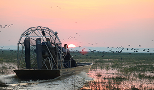 Bamurru airboat, Northern Territory