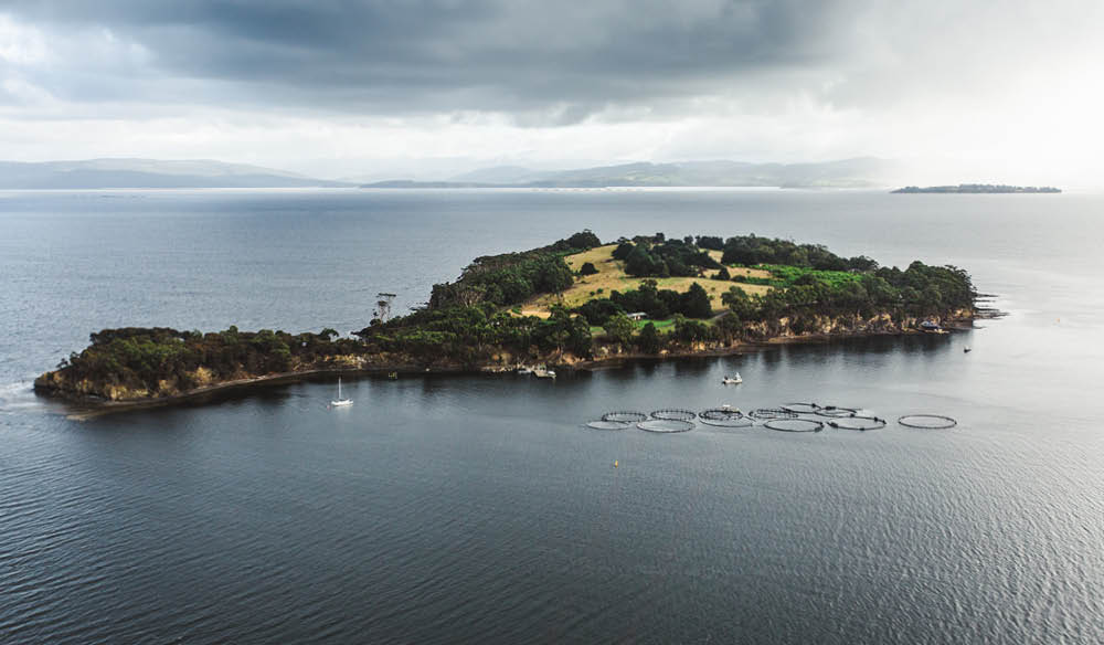 Satellite Island Tasmania