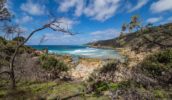 Moreton Island