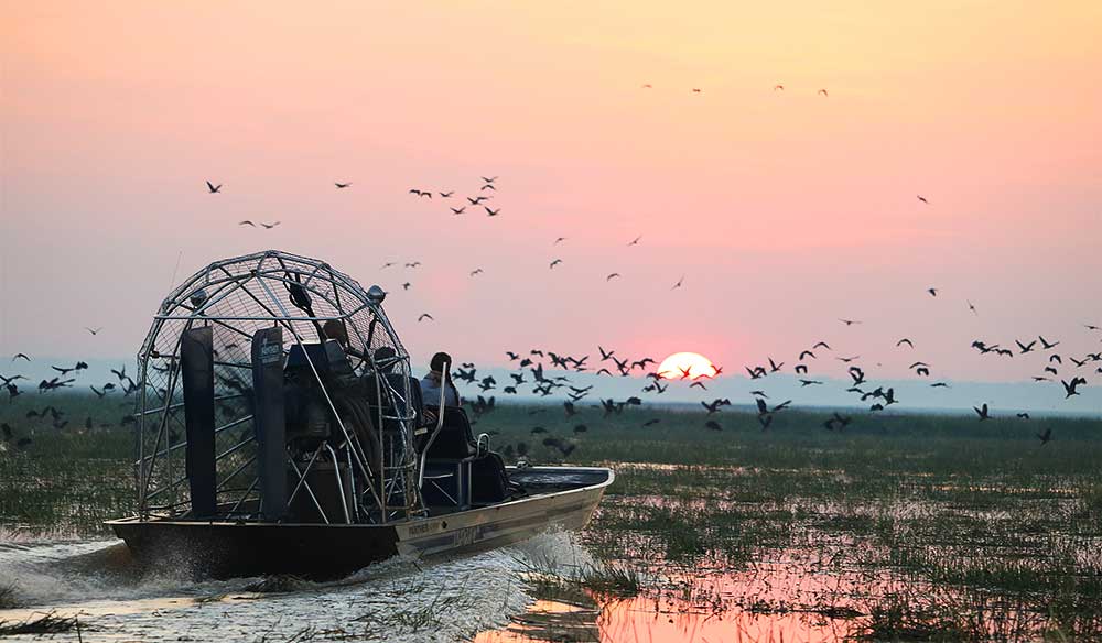Bamarru Airboat Safari