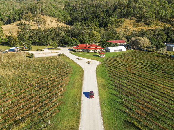 a car driving along the Canungra Valley Vineyards