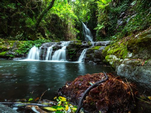 A Must-Read Lamington National Park Guide | Australian Traveller