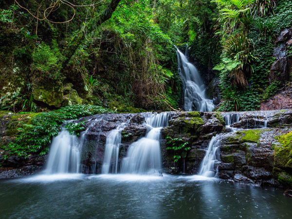 Elabana Falls at Lamington National Park