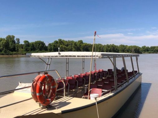 A Must For Wildlife Lovers: Jumping Crocodile Cruise - Australian Traveller