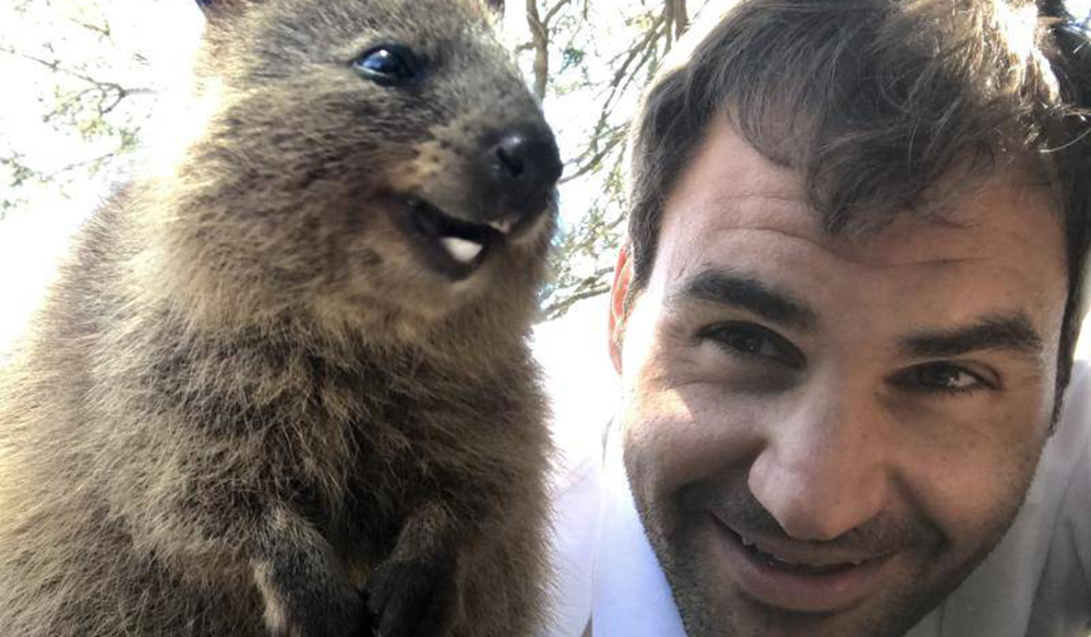 Roger Federer snaps a selfie with an adorable Quokka.