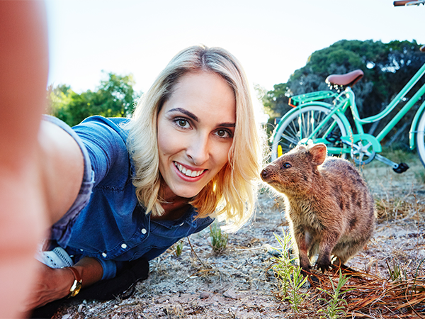 Quokka selfie