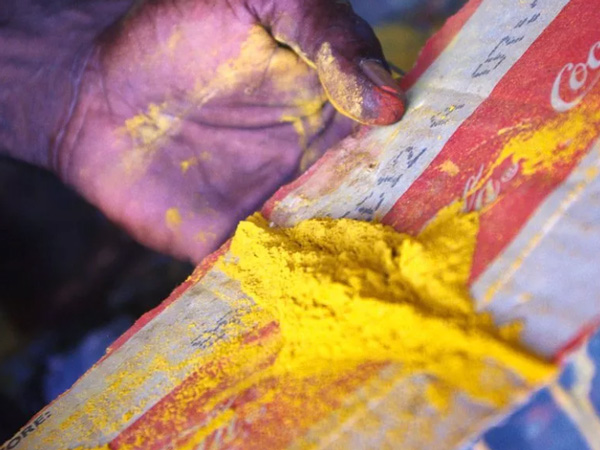 Tiwi Islands art tour, Northern Territory