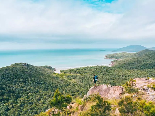 The Thorsborne Trail