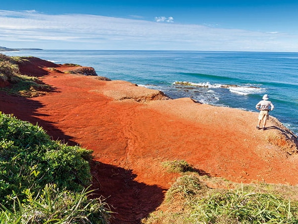 Yuraygir coastal walk on the Clarence Coast.