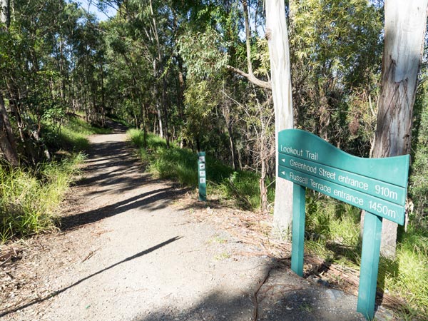 lookout trail to Mt Coot-tha summit