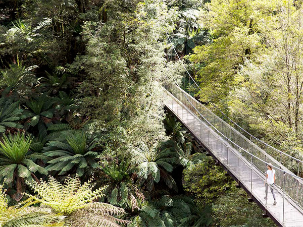 Tarra Bulga Suspension Bridge, VIC