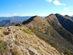 Australia's 24 Best Walking Holidays - Australian Traveller