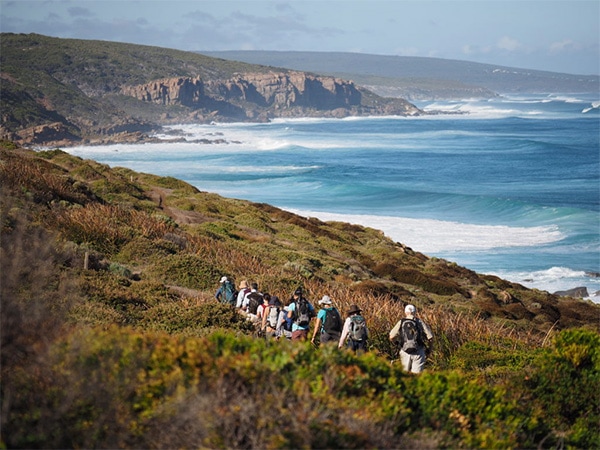 Cape to Cape Track.