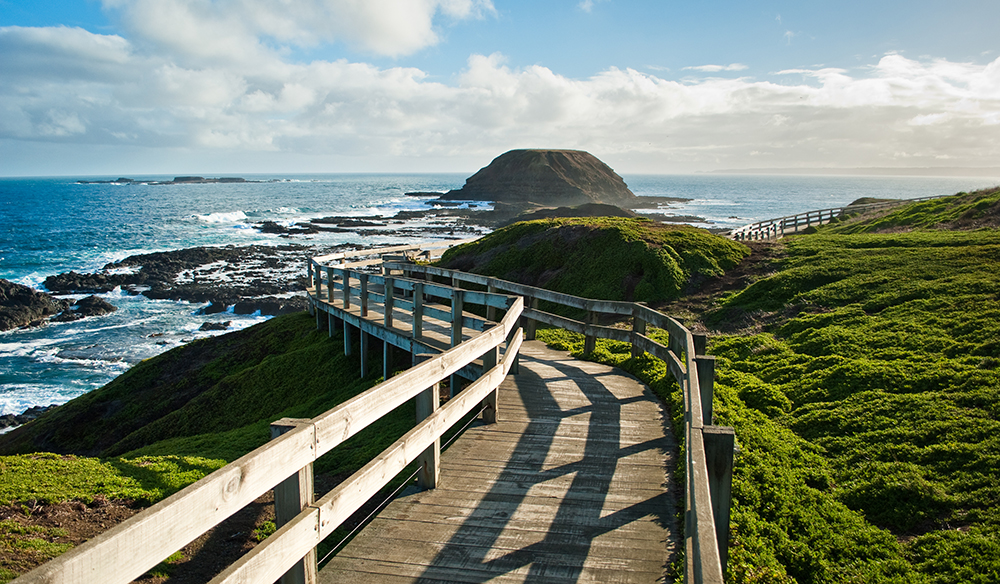 Where to eat, stay and play in Phillip Island - Australian Traveller