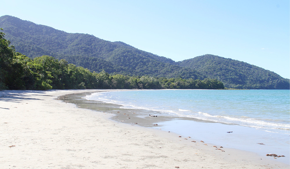 Cape Tribulation Beach QLD