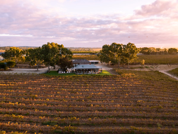 External David Franz Barossa Valley