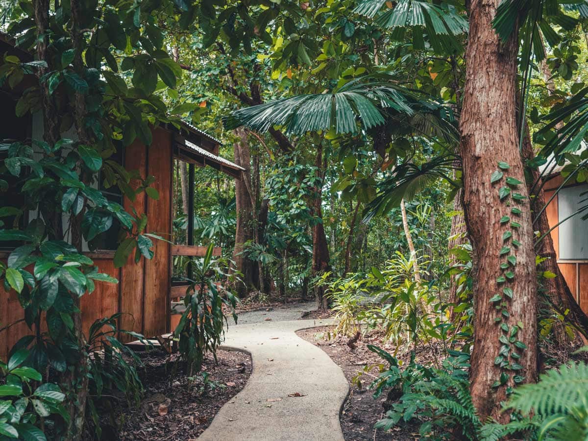 Walking down the path at Cape Tribulation Beach House. (Image: Tourism Tropical North Queensland)