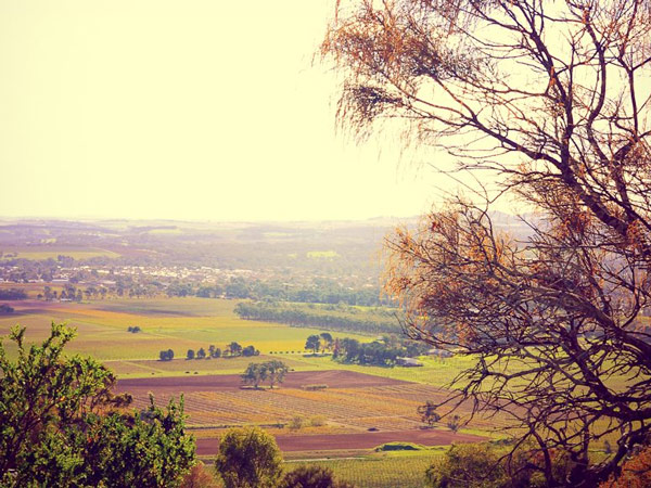 Views of Tanunda Barossa Valley
