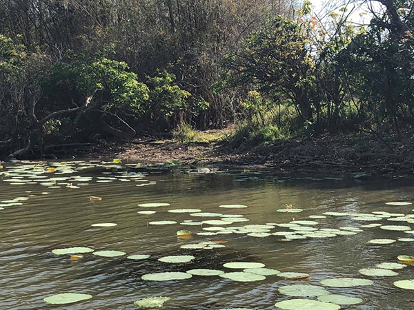 Untamed: How to find your wild side in Darwin