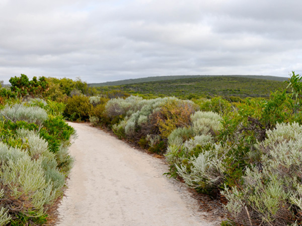 Western Australia