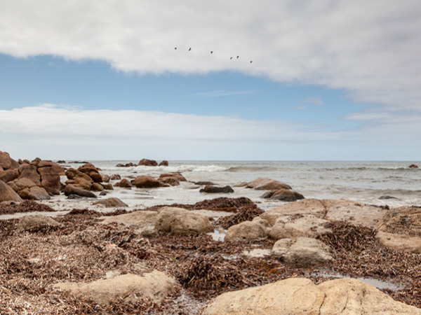 Western Australia