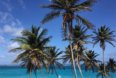 Daydream Island