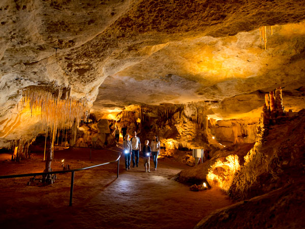 a look inside the Naracoorte Caves