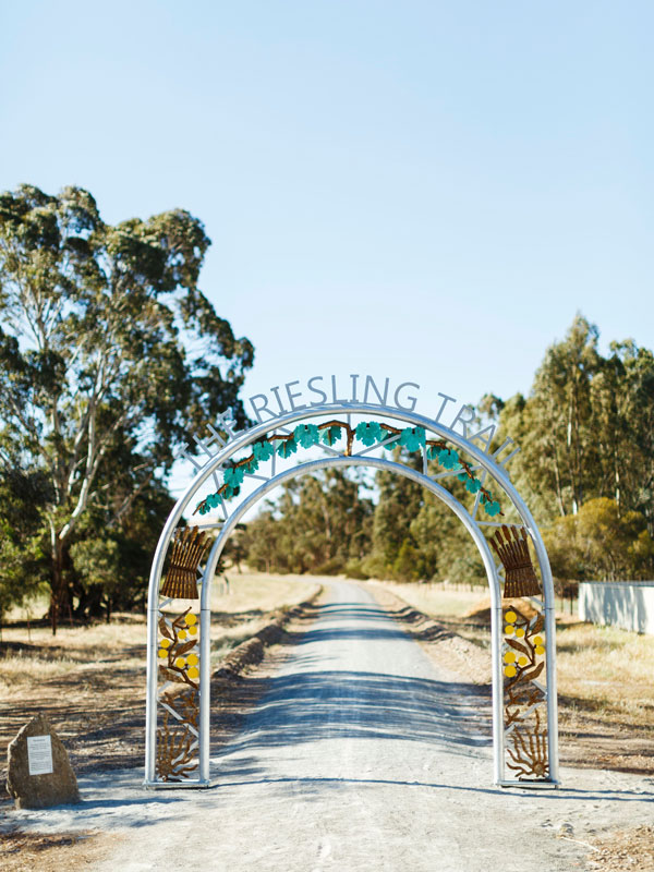 the Riesling Trail in Clare Valley