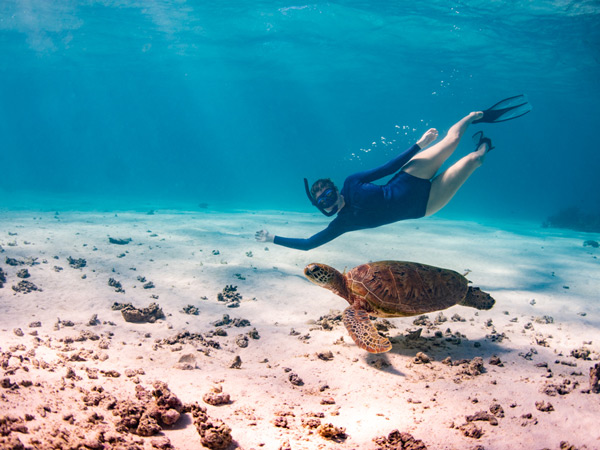 swimming with a sea turtle at Ningaloo Reef