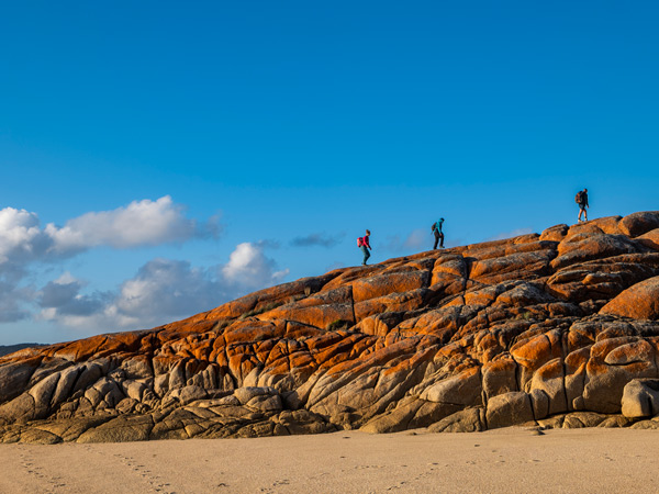 a group of hikers on a Flinders Island walk